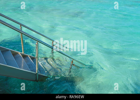 Escalier métallique à l'eau turquoise d'une mer pour la baignade. Les vacances d'été à exotic resort Banque D'Images