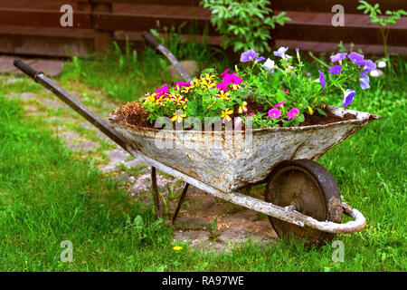 Vieille Brouette rouillée parterre de fleurs colorées au décor de jardin Banque D'Images