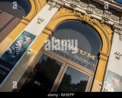 NICE, FRANCE - 25 MAI 2018 : Musée d'Histoire naturelle (Musée d'Histoire naturelle) Banque D'Images