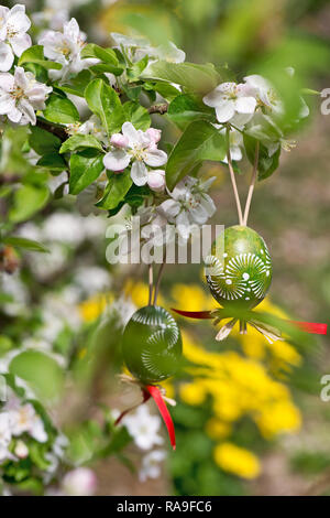 Egss Pâques pendaison sur le rameau de pommier dans le jardin Banque D'Images