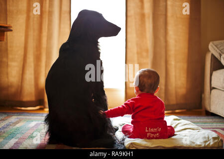 Jeune bébé caressant un chien noir tout en étant assis à côté de l'autre sur un lit en face d'une fenêtre. Banque D'Images