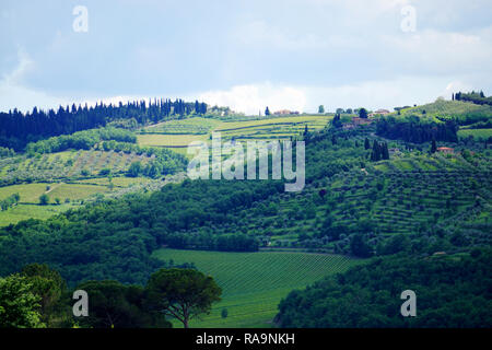 Provincia del Chianti. Banque D'Images