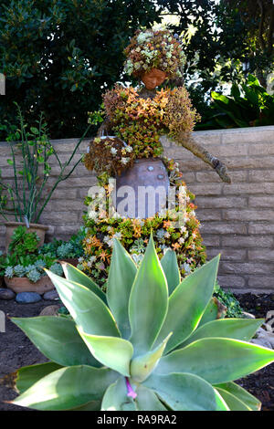 Topiaire mariachi,San Diego,jardin botanique Jardin botanique de caille,California,succulentes succulentes,jardin,art,design,fonction,montage,living,growin Banque D'Images