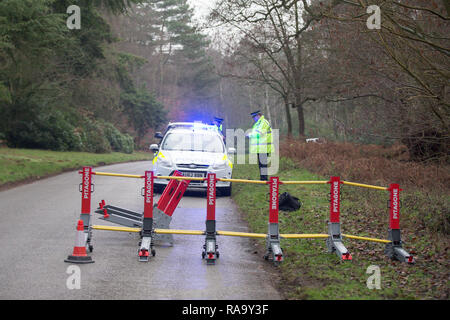 Les nouvelles mesures anti-terroristes qui ont été mis en autour de Sandringham cette semaine.Le Pitagone est un camion spécial anti-ram-barrière. Nouvelles mesures de lutte contre le terrorisme ont été mis en place autour de la résidence de la Reine à Sandringham à Norfolk, tandis qu'elle passe la saison de vacances. Chariot spécial anti-ram-barrières ont maintenant été intégrée aux quatre routes qui mènent à la succession royale. Les trois pieds de haut barrières modulaires peuvent très rapidement être déplacées sur les routes par la police pour empêcher les véhicules de passer si nécessaire. Ils ont été conçus par la Belgique, société Pitagone, qui speci Banque D'Images