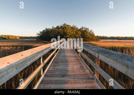 Grâce à la promenade marais côtier à une île d'arbres, Little River, South Carolina, United States Banque D'Images