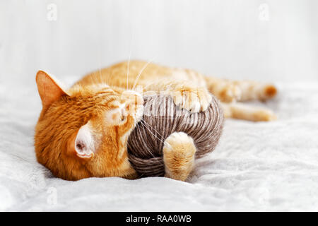 L'Orange chat jouant avec une pelote de laine allongé sur le lit. L'accent peu profondes, arrière-plan flou. Banque D'Images