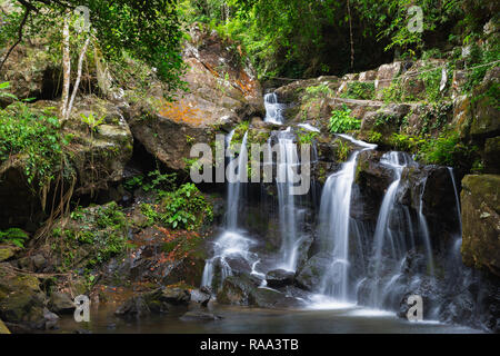 Cascade de Thac Gio, jardins botaniques de Phong Nha, Vietnam, Asie Banque D'Images