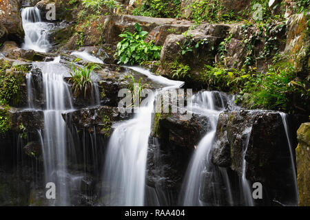 Cascade de Thac Gio, jardins botaniques de Phong Nha, Vietnam, Asie Banque D'Images