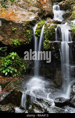 Cascade de Thac Gio, jardins botaniques de Phong Nha, Vietnam, Asie Banque D'Images