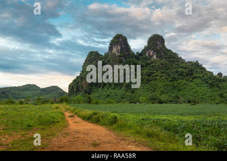 Pics falaise calcaire surplombant champ agricole, Phong Nha, Vietnam, Asie Banque D'Images