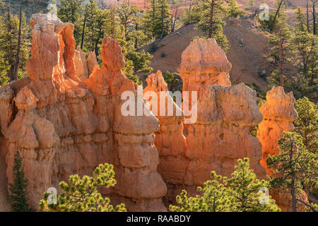 Bryce Canyon National Park, Utah, USA. L'érosion des parois du canyon de calcaire et de formations rocheuses appelées nageoires et cheminées. Banque D'Images