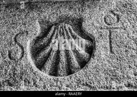 Saint James Way symbole gravé dans la pierre à Santiago de Compostela, Espagne Banque D'Images