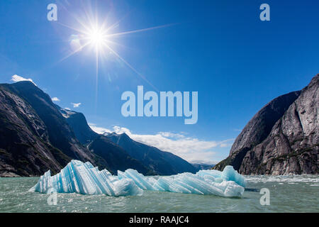 Vêlé glace devant la Dawes Glacier dans l'Endicott Arm dans le sud-est de l'Alaska, USA. Banque D'Images