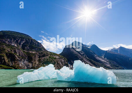 Vêlé glace devant la Dawes Glacier dans l'Endicott Arm dans le sud-est de l'Alaska, USA. Banque D'Images