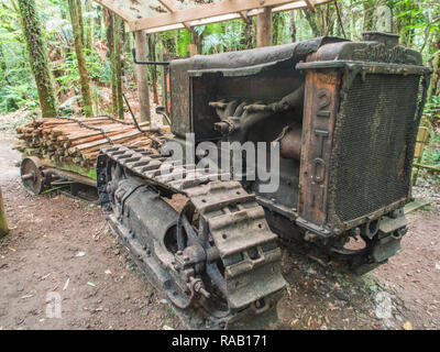 Catapillar historique 2 tonne crawler tractor pulling sled konaki avec charge de totara clôture charpente, parc forestier de Pureora, District de Taupo, Nouvelle-Zélande Banque D'Images