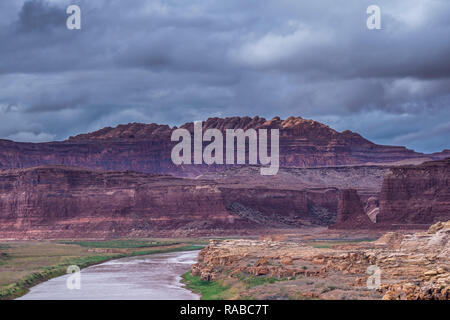 Colorado River En aval du pont sur le passage de Hite Rivière Colorado, l'Utah Highway 95, Glen Canyon National Recreation Area, Utah. Banque D'Images