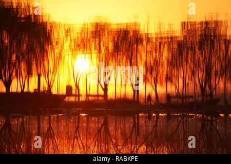 (190103) -- BEIJING, 3 janvier 2019 (Xinhua) -- Les résidents n'exerce par le matin dans le lac Baiyangdian Anxin Comté de Xiongan nouveau domaine de la Chine du Nord, Province de Hebei, 7 décembre 2018. Les autorités centrales de la Chine ont approuvé le plan directeur pour Xiongan 2018-2035 Nouveau domaine, soulignant que sa création est importante pour le développement de haute qualité et la construction de la système économique moderne. Le plan a été approuvé par le Comité central du Parti communiste chinois (PCC) et le Conseil d'État. Le plan directeur est la ligne directrice pour le développement, la construction et la gestion Banque D'Images