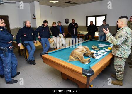 La CPS de l'armée américaine. Jose Armendariz affecté à l'activité de la santé publique de l'Italie, explique comment effectuer un examen médical sur un animal en peluche chien de police italienne Squadra Cinofili K9 et Venise Aéroport Questura di Padova et U.S. Air Force à Caserma Ederle, Vicenza, Italie, le 17 janvier 2017. Les équipes de chiens de travail militaire sont utilisés dans des médicaments, de patrouille et de la détection des explosifs et des fonctions de la mission pour le ministère de la défense et d'autres organismes gouvernementaux. Le 525e Détachement de chien de travail militaire, la formation conjointe avec la police italienne Squadra Cinofili K9 et Venise Aéroport Questura di Padova Banque D'Images