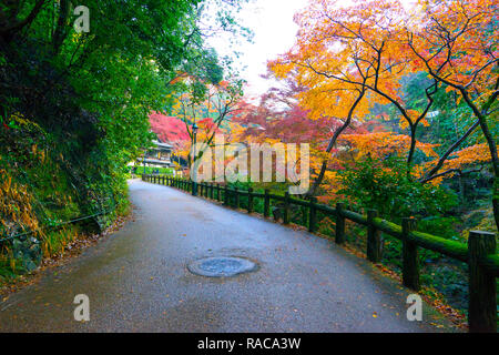 Les feuilles d'automne au parc Minoo Minoo.parc situé à Osaka, Japon. Banque D'Images