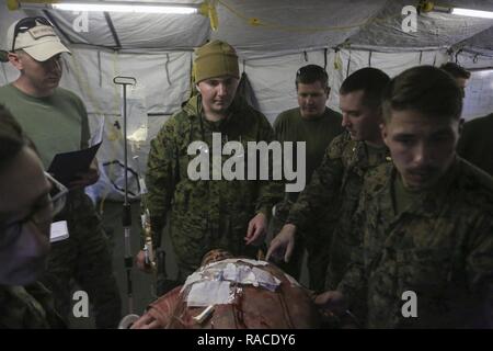 Les marins de la marine américaine avec 2e Bataillon Médical effectuer les exercices avec pertes de masse sur Egrett TLZ à Camp Lejeune, en Caroline du Nord, le 19 janvier 2017. Les marins a organisé une formation pour afficher corpsmen les capacités opérationnelles. Banque D'Images