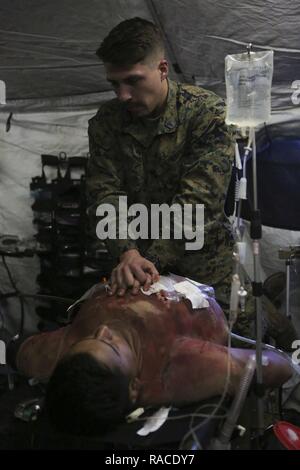 U.S Navy Matelot Caleb S. Welz, Hôpital Corpsmen avec la Compagnie Alpha, 2e, 2e Bataillon Médical Marine Logistics Group participe à un grand nombre de blessés à forer sur Egrett TLZ Camp Lejeune, N.C., janv. 19, 2017. Les marins a organisé une formation pour afficher corpsmen les capacités opérationnelles. Banque D'Images