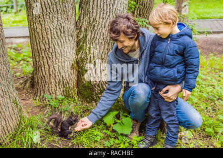 Père et fils nourrir un écureuil dans le parc Banque D'Images