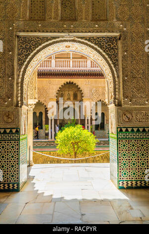 Apartment Doncellas Patio de las de l'intérieur de l'arabe avec des murs en mosaïque et des arcades, Alcazar de Séville, l'UNESCO, Séville, Andalousie, Espagne Banque D'Images