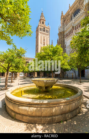 Le baroque gothique beffroi Giralda de la Cathédrale de Séville, vu de Patio de los Naranjos, UNESCO World Heritage Site, Séville, Andalousie, Espagne, Europe Banque D'Images