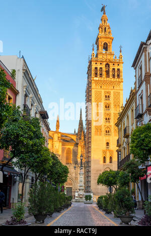 La Giralda, à la lumière du soleil d'abord, l'UNESCO World Heritage Site, Séville, Andalousie, Espagne, Europe Banque D'Images