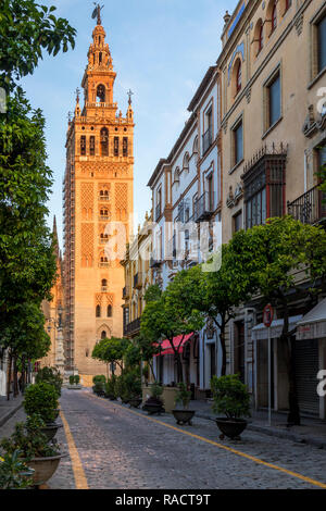 La Giralda, à la lumière du soleil d'abord, l'UNESCO World Heritage Site, Séville, Andalousie, Espagne, Europe Banque D'Images