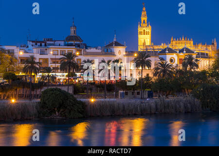 La Giralda et la Plaza de Toros vu depuis les rives du fleuve Guadalquivir, au crépuscule, Séville, Andalousie, Espagne, Europe Banque D'Images