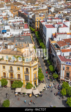 Vue de la Giralda jusqu'à la Virgen de los Reyes square, Séville, Andalousie, Espagne, Europe Banque D'Images