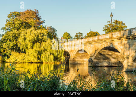 Le pont Serpentine dans Hyde Park, Londres, Angleterre, Royaume-Uni, Europe Banque D'Images