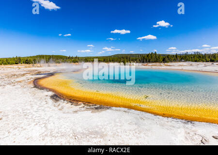 Geyser arc-en-ciel et surréaliste des couleurs que la différentes bactéries créer dans ces geysers, l'UNESCO, le Parc National de Yellowstone, Wyoming, USA Banque D'Images