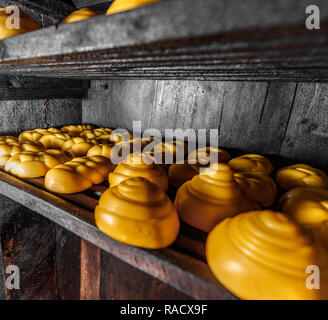 Savoureux fromage tressé d'or dans le fumoir Banque D'Images