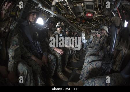 Les Marines américains avec Alpha Batterie, 1er Bataillon, 10e Régiment de Marines, 2e Division de Marines (2d MARDIV), l'utilisation d'une MV-22B Balbuzard pêcheur (USMC) lors d'un raid helo dans le cadre de l'exercice incendie 1-17 (FIREX) à Camp Lejeune, en Caroline du Nord, le 24 janvier 2017. FIREX 1-17 est un exercice de niveau bataillon conçu pour permettre à plusieurs batteries de s'entraîner ensemble afin d'améliorer les procédures normales d'exploitation internes. Banque D'Images