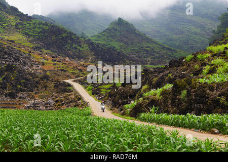 Seul l'homme vietnamiens sur moto, conduire sur route de montagne étroite. Ha Giang Province Ha Giang en boucle, au Vietnam, en Asie Banque D'Images