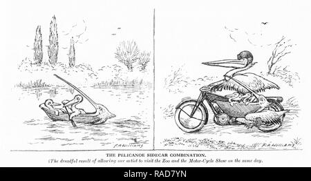 Gravure de pélicans à l'humour et pose ridicule. À partir d'une gravure originale à l'Annuel 1925 Garçons propre. Banque D'Images