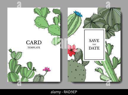 Vector floral fleur de cactus vert botanique. Encre gravée mariage art floral fond carte bordure décorative. Illustration de Vecteur