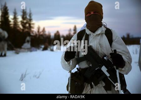 En étudiant le Cours sur la guerre d'hiver de base suédoise se repose pendant un mouvement de mars sur les skis pendant le domaine d'entraînement à Avidsjaur, Suède, le 30 janvier 2016. Les Marines américains ont participé à l'aide d'un programme national de formation qui a porté sur la survie par temps d'hiver et sa capacité à effectuer des opérations d'infanterie et de diriger de petites unités par temps froid. Banque D'Images