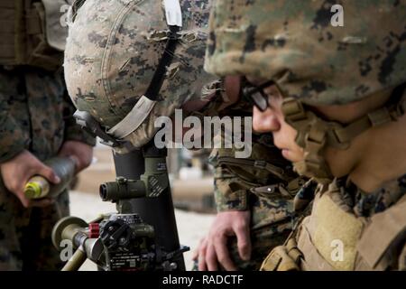 Un U.S. Marine avec la Compagnie Alpha affecté à la formation d'infanterie, bataillon de l'école, Infantry-East regarde par la vue d'un 81mm Système de mortier sur Camp Lejeune, N.C., 12 janvier 2017. Marines avec la Compagnie Alpha a mené un champ de tir réel pour mieux se familiariser avec le système de mortier de 81 mm. Banque D'Images