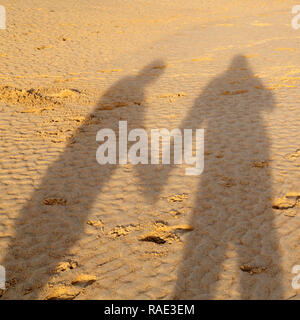 Ombre d'un couple en train de marcher main dans la main sur une plage dans le Northumberland, en Angleterre. Des empreintes de pas sont imprimés dans le sable doré. Banque D'Images