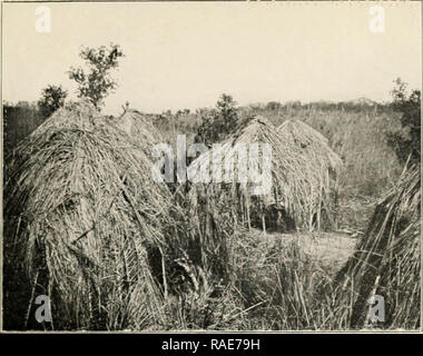 'Terre et les peuples de la Kasaï ; être un récit d'un voyage de deux ans parmi les cannibales de la forêt équatoriale et d'autres peuplades de la région du sud-ouest du Congo' (1911) Banque D'Images