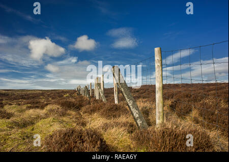 Clôture sur le bassin hydrographique de Baxton est tombé dans la forêt de Bowland Lancashire Banque D'Images