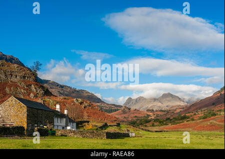 Pied tomba , ferme O'Blisco brochet et le Langdale Pikes Cumbria Banque D'Images