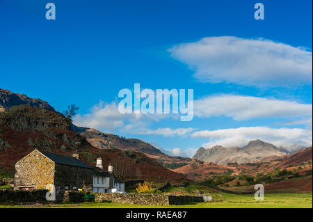 Pied tomba , ferme O'Blisco brochet et le Langdale Pikes Cumbria Banque D'Images