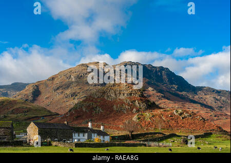 Pied tomba peu ferme Cumbria Langdale Banque D'Images