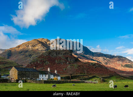 Pied tomba peu ferme Cumbria Langdale Banque D'Images