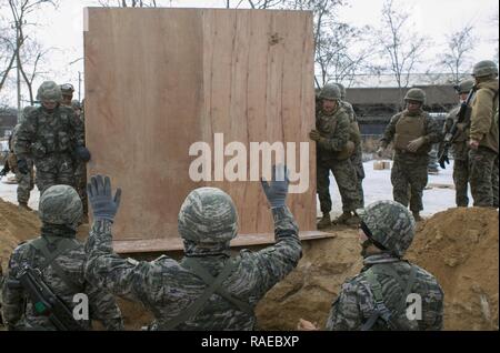 Les Marines américains, avec la Compagnie Alpha, 9e, 3e Bataillon d'appui du Groupe de la logistique maritime, et la République de Corée Marines, avec la 1ère Division de l'ingénieur, travailler ensemble pour abaisser le bunker dans le sol au cours de l'exercice maritime coréen Exchange Program (KMEP) 17-8 sur le Nouveau Mexique, Corée du Sud, le 28 janvier 2017. KMEP est prévue chaque année un événement de formation conçus pour améliorer pour améliorer l'interopérabilité tactique et de la camaraderie de la République de Corée et des Marines américains en leur permettant de travailler comme une unité cohérente. L'alliance entre l'Amérique et la République de Corée a g Banque D'Images