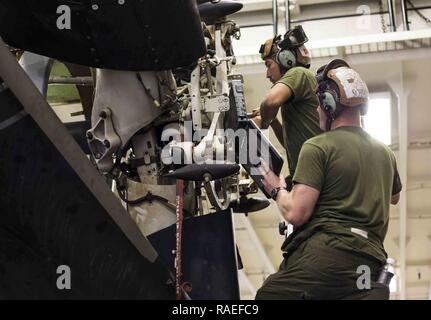 USS MAKIN ISLAND, golfe d'Aden (Jan 31, 2017) Les Marines américains avec Marine à rotors basculants Support Squadron (VMM) 163 (renforcée), 11e Marine Expeditionary Unit, retirer les vis du rotor d'un MV-22 Osprey à bord de l'USS Makin Island (DG 8) Mai 31, 2017. Avec l'aide de diagrammes sur un ordinateur portable, les marines militaires avec VMM-163 (Rein.) ont été en mesure d'identifier exactement les pièces nécessaires à la dépose pour réparer l'avion rotor. Banque D'Images